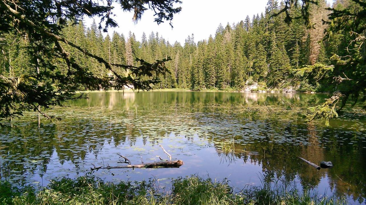 Cottage Bosaca Zabljak  Bagian luar foto