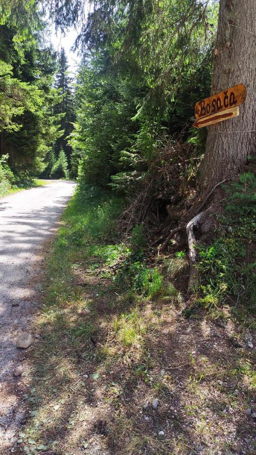 Cottage Bosaca Zabljak  Bagian luar foto