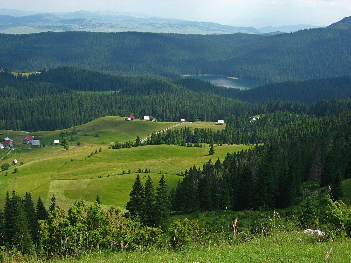 Cottage Bosaca Zabljak  Bagian luar foto