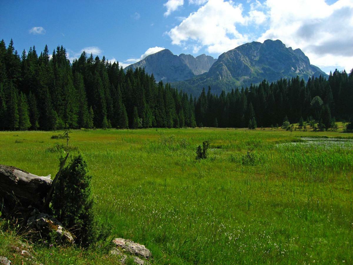 Cottage Bosaca Zabljak  Bagian luar foto